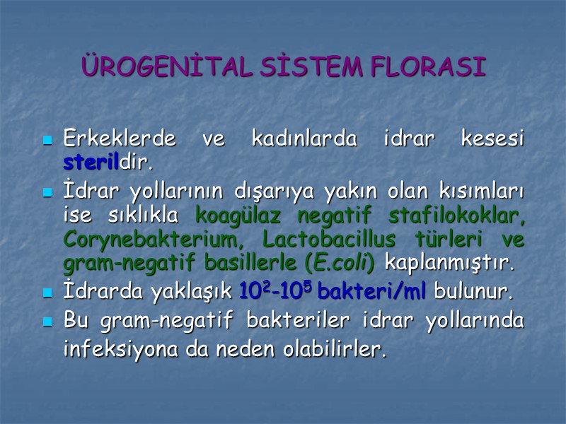 ÜROGENİTAL SİSTEM FLORASI Erkeklerde ve kadınlarda idrar kesesi sterildir.  İdrar yollarının dışarıya yakın